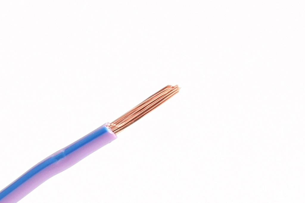 1mm² Paars-Blauw FLRY-B