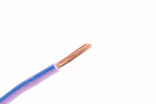 [1PRP.BLU] 1mm² Paars-Blauw FLRY-B